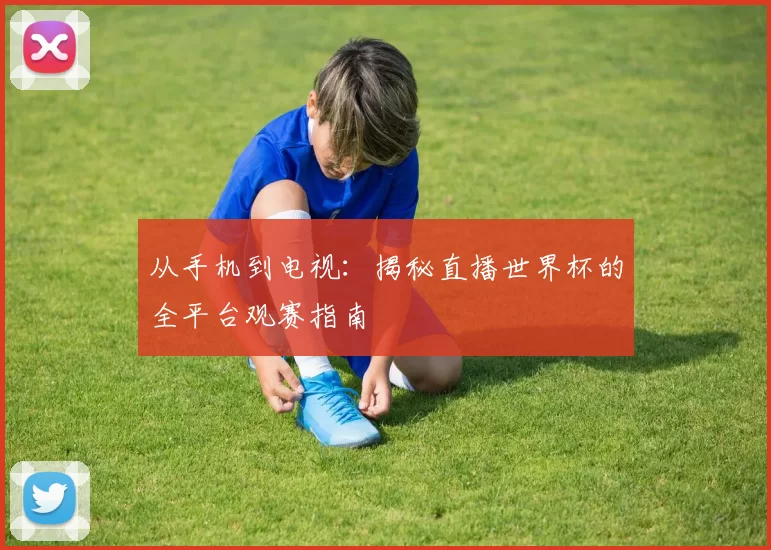 从手机到电视：揭秘直播世界杯的全平台观赛指南