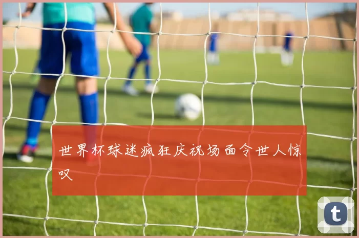 世界杯球迷疯狂庆祝场面令世人惊叹