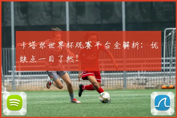 卡塔尔世界杯观赛平台全解析：优缺点一目了然！