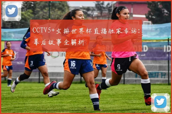 CCTV5+女排世界杯直播独家专访：幕后故事全解析