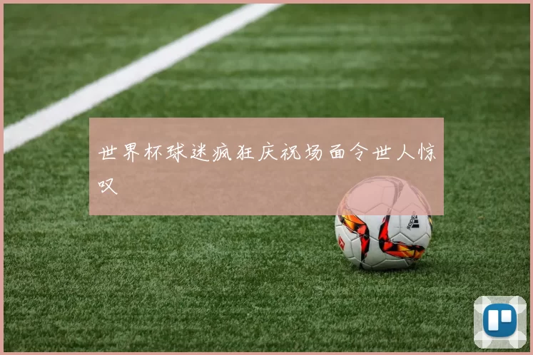 世界杯球迷疯狂庆祝场面令世人惊叹