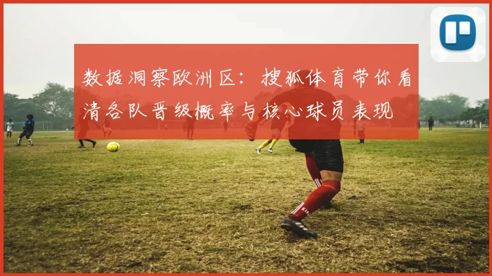 数据洞察欧洲区：搜狐体育带你看清各队晋级概率与核心球员表现