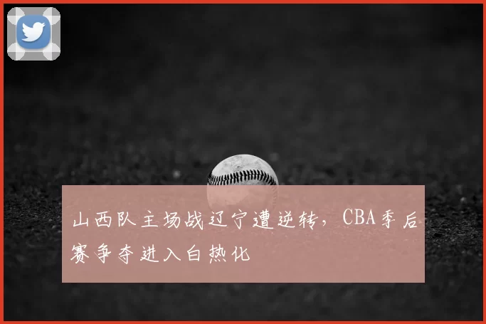 山西队主场战辽宁遭逆转，CBA季后赛争夺进入白热化