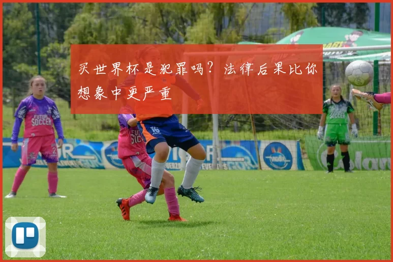 买世界杯是犯罪吗?法律后果比你想象中更严重