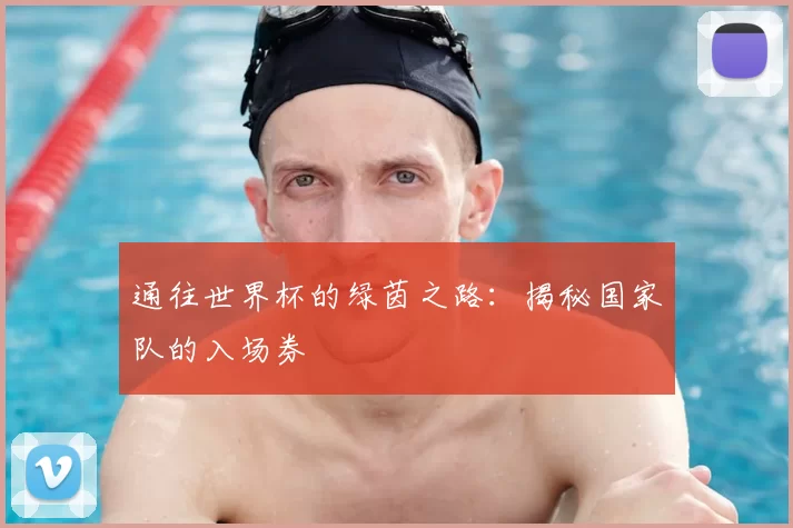 通往世界杯的绿茵之路：揭秘国家队的入场券