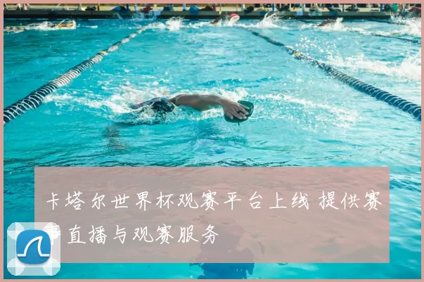卡塔尔世界杯观赛平台上线 提供赛事直播与观赛服务