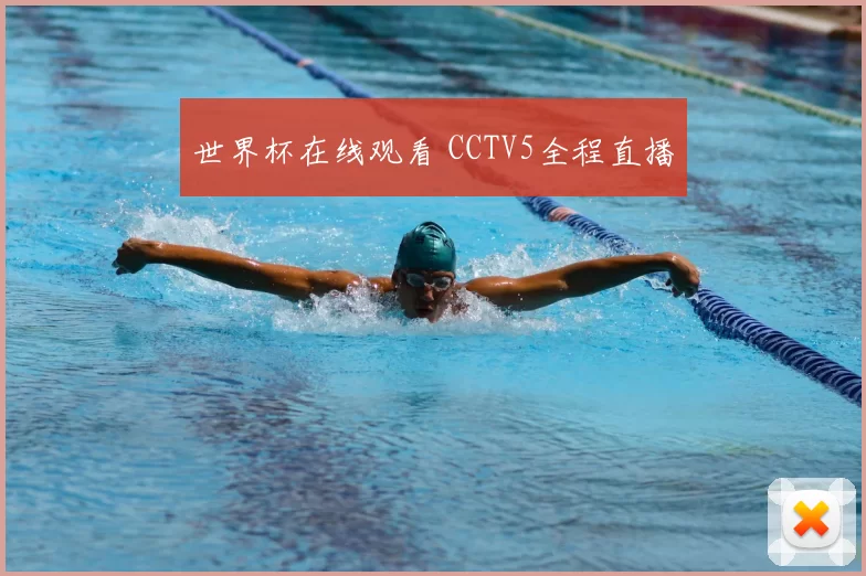 世界杯在线观看 CCTV5全程直播