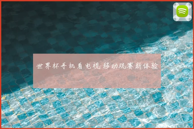 世界杯手机看电视 移动观赛新体验