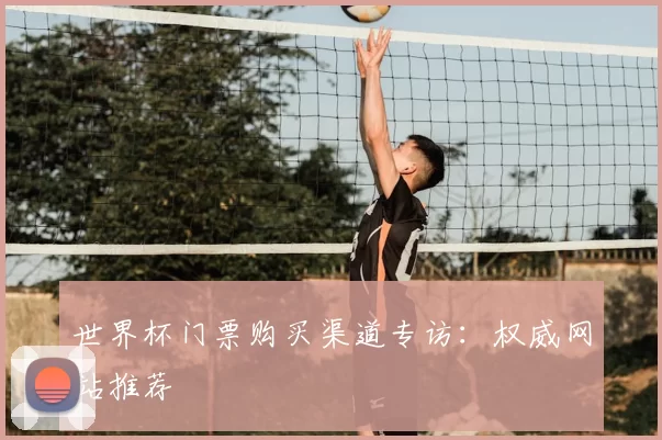 世界杯门票购买渠道专访：权威网站推荐