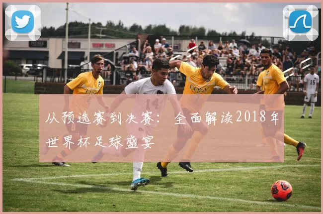 从预选赛到决赛：全面解读2018年世界杯足球盛宴