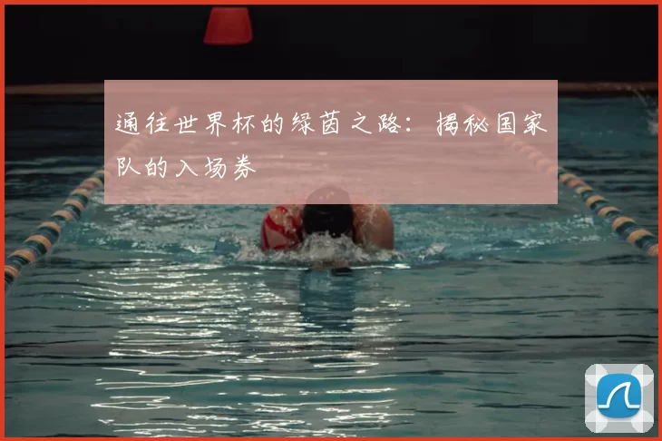通往世界杯的绿茵之路：揭秘国家队的入场券